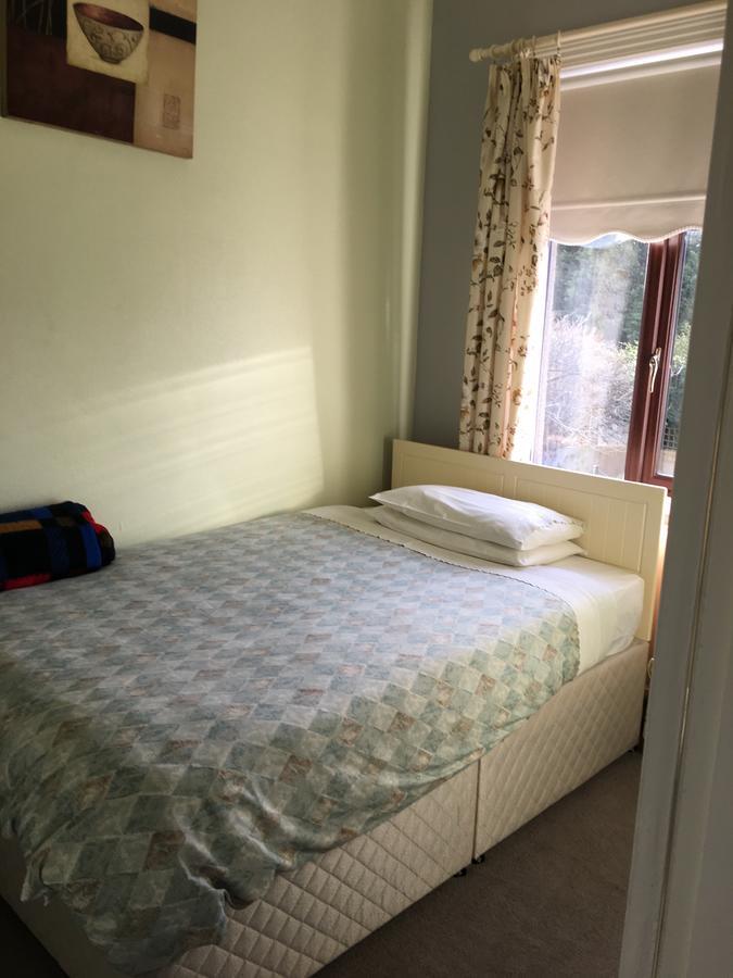 Sycamore House B&B Дъблин Екстериор снимка
