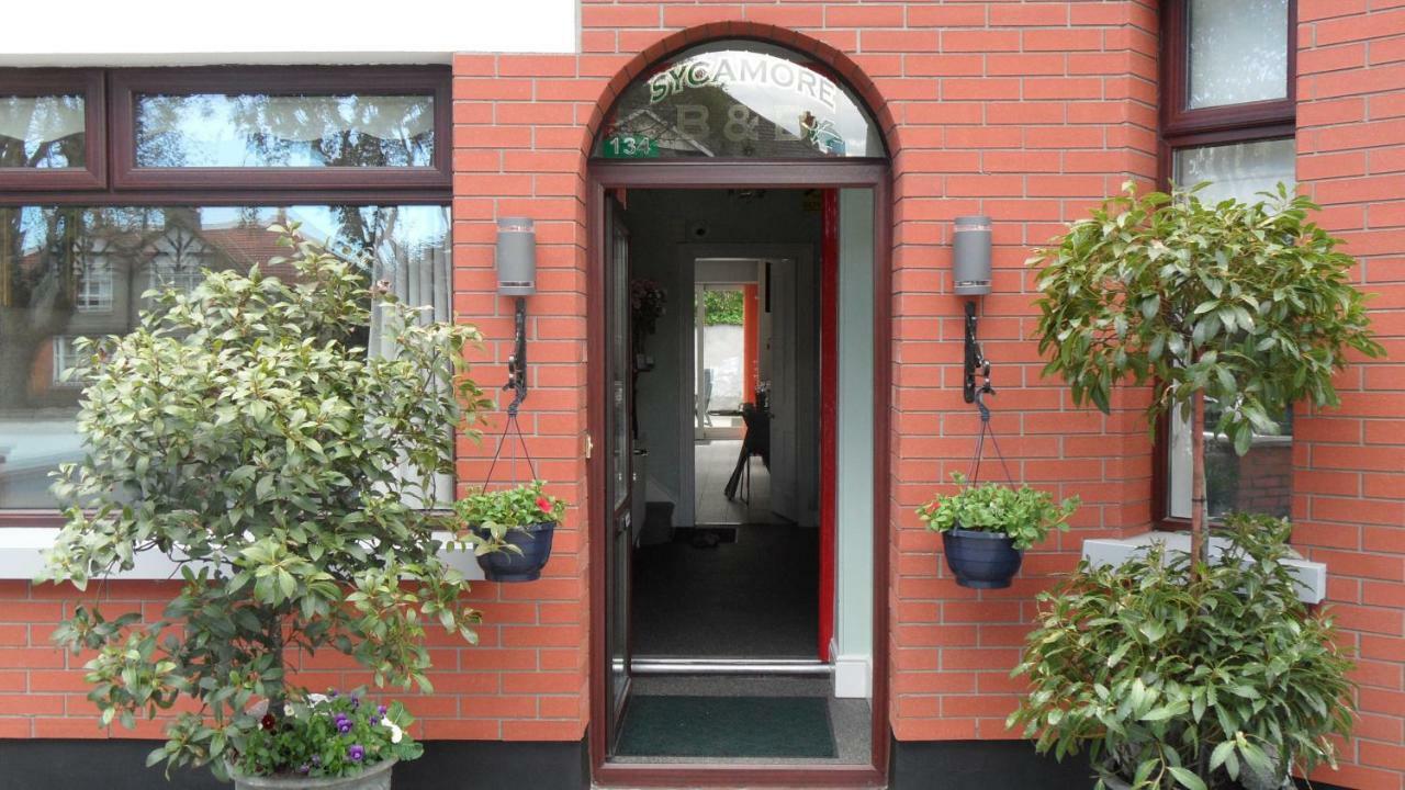 Sycamore House B&B Дъблин Екстериор снимка