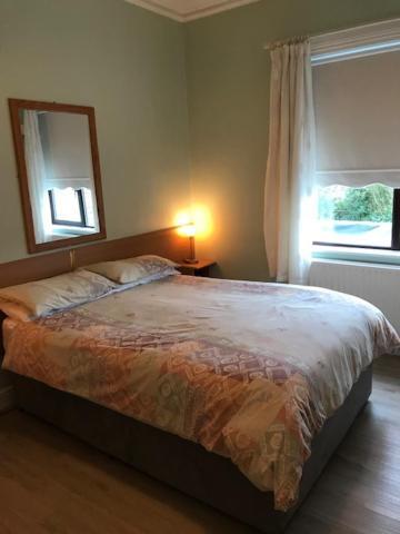 Sycamore House B&B Дъблин Екстериор снимка